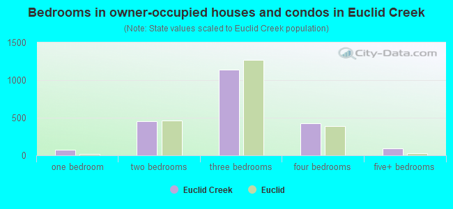 Bedrooms in owner-occupied houses and condos in Euclid Creek