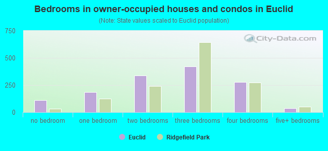 Bedrooms in owner-occupied houses and condos in Euclid