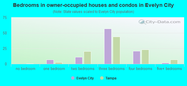 Bedrooms in owner-occupied houses and condos in Evelyn City