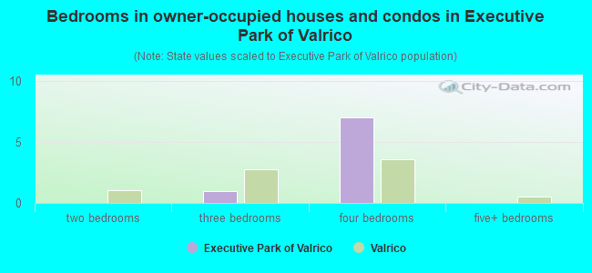 Bedrooms in owner-occupied houses and condos in Executive Park of Valrico
