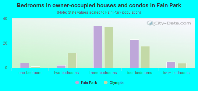 Bedrooms in owner-occupied houses and condos in Fain Park