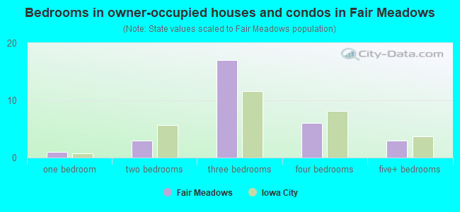 Bedrooms in owner-occupied houses and condos in Fair Meadows