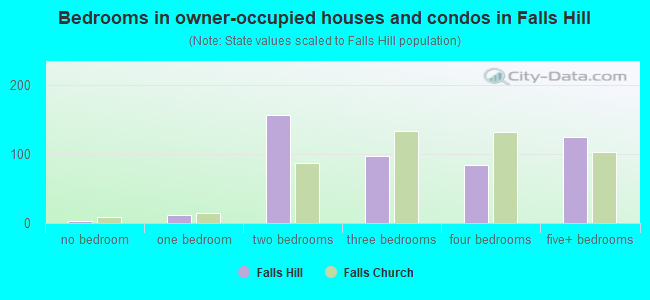 Bedrooms in owner-occupied houses and condos in Falls Hill