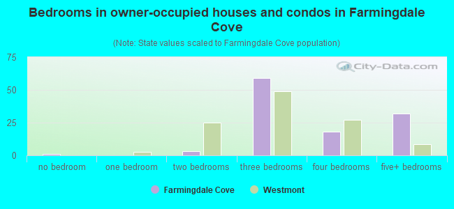 Bedrooms in owner-occupied houses and condos in Farmingdale Cove