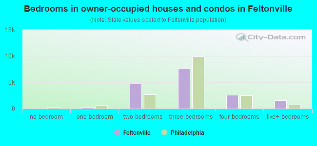 Bedrooms in owner-occupied houses and condos in Feltonville