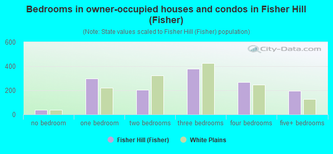 Bedrooms in owner-occupied houses and condos in Fisher Hill (Fisher)