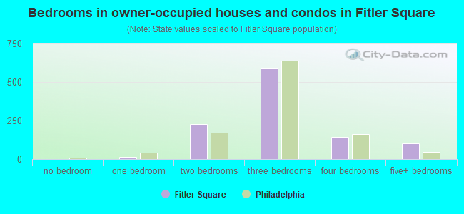 Bedrooms in owner-occupied houses and condos in Fitler Square