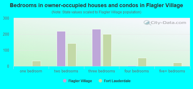Bedrooms in owner-occupied houses and condos in Flagler Village