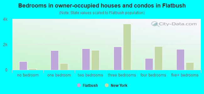 Bedrooms in owner-occupied houses and condos in Flatbush