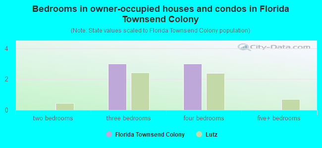 Bedrooms in owner-occupied houses and condos in Florida Townsend Colony