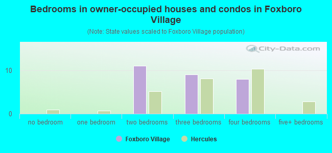 Bedrooms in owner-occupied houses and condos in Foxboro Village