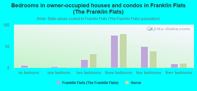 Bedrooms in owner-occupied houses and condos in Franklin Flats (The Franklin Flats)