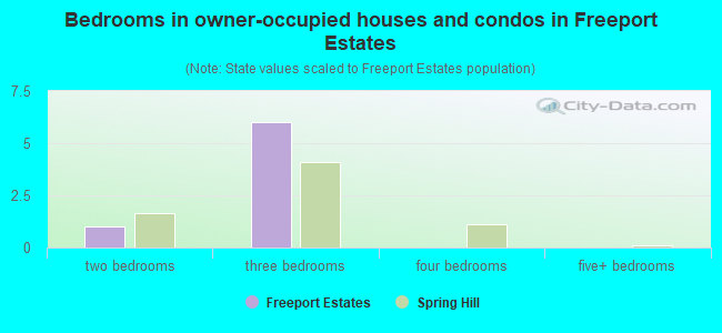 Bedrooms in owner-occupied houses and condos in Freeport Estates