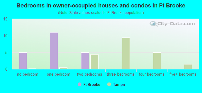 Bedrooms in owner-occupied houses and condos in Ft Brooke