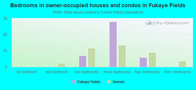 Bedrooms in owner-occupied houses and condos in Fukaye Fields