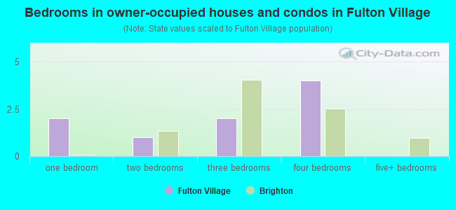 Bedrooms in owner-occupied houses and condos in Fulton Village