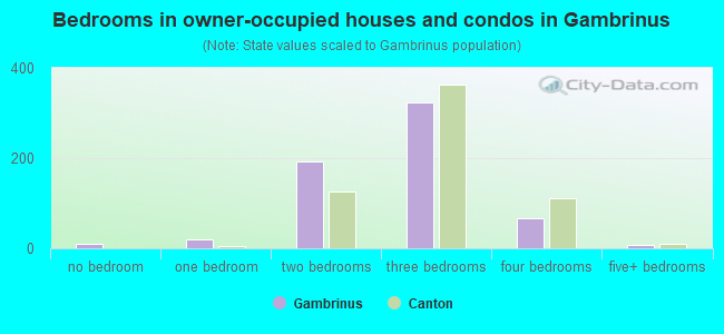 Bedrooms in owner-occupied houses and condos in Gambrinus