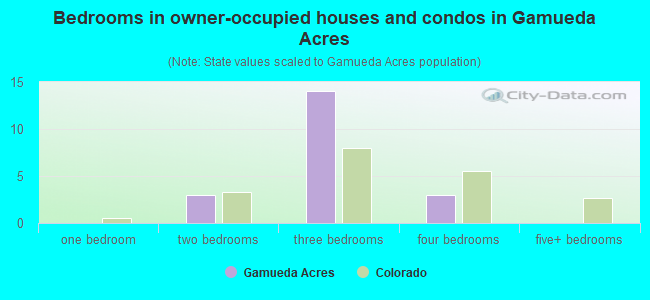 Bedrooms in owner-occupied houses and condos in Gamueda Acres
