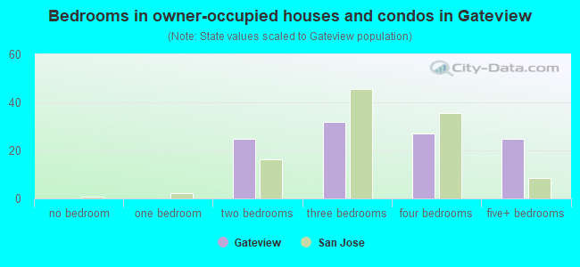 Bedrooms in owner-occupied houses and condos in Gateview