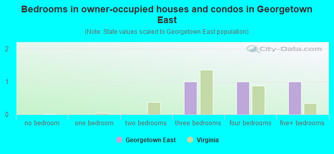 Bedrooms in owner-occupied houses and condos in Georgetown East