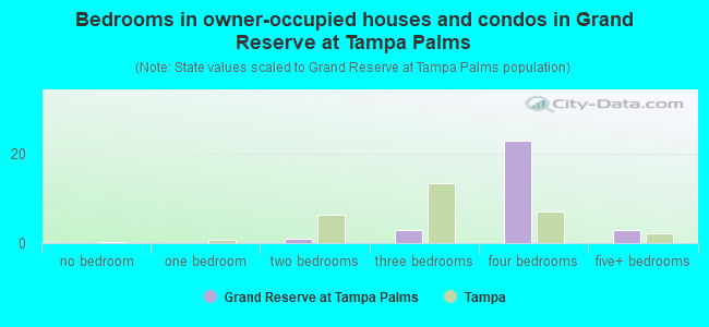 Bedrooms in owner-occupied houses and condos in Grand Reserve at Tampa Palms
