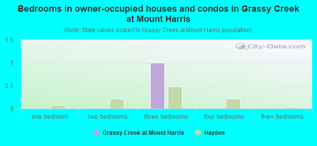 Bedrooms in owner-occupied houses and condos in Grassy Creek at Mount Harris