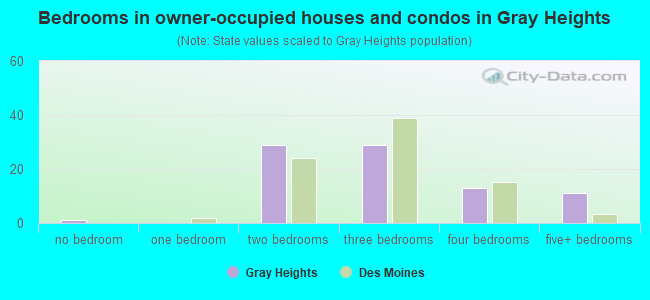 Bedrooms in owner-occupied houses and condos in Gray Heights