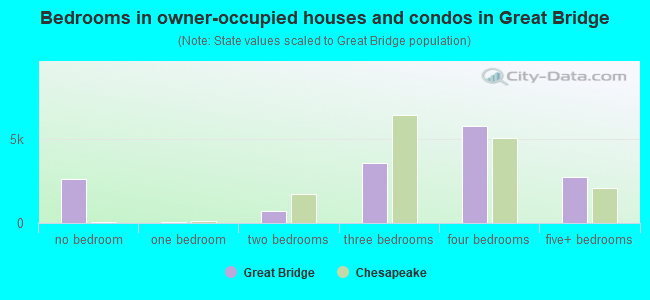 Bedrooms in owner-occupied houses and condos in Great Bridge