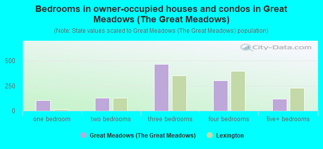 Bedrooms in owner-occupied houses and condos in Great Meadows (The Great Meadows)