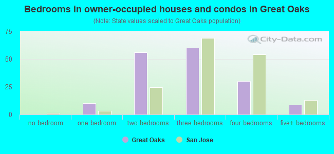 Bedrooms in owner-occupied houses and condos in Great Oaks