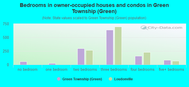 Bedrooms in owner-occupied houses and condos in Green Township (Green)