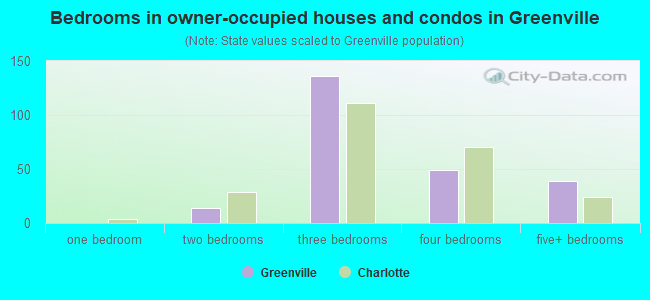 Bedrooms in owner-occupied houses and condos in Greenville