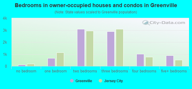 Bedrooms in owner-occupied houses and condos in Greenville