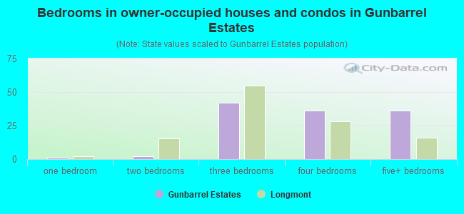 Bedrooms in owner-occupied houses and condos in Gunbarrel Estates