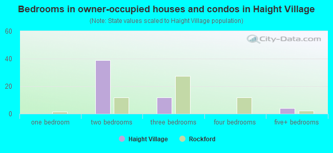 Bedrooms in owner-occupied houses and condos in Haight Village
