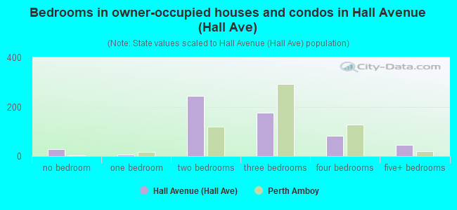 Bedrooms in owner-occupied houses and condos in Hall Avenue (Hall Ave)