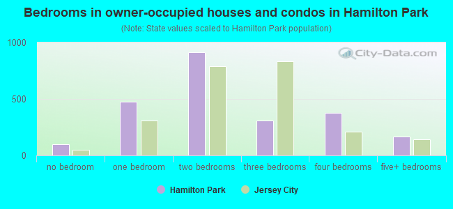 Bedrooms in owner-occupied houses and condos in Hamilton Park