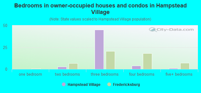 Bedrooms in owner-occupied houses and condos in Hampstead Village