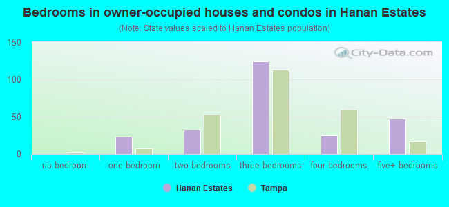 Bedrooms in owner-occupied houses and condos in Hanan Estates