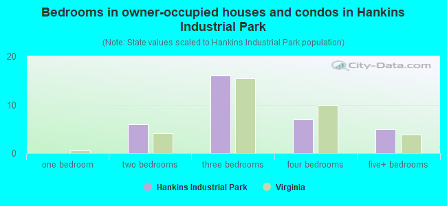 Bedrooms in owner-occupied houses and condos in Hankins Industrial Park