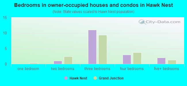Bedrooms in owner-occupied houses and condos in Hawk Nest