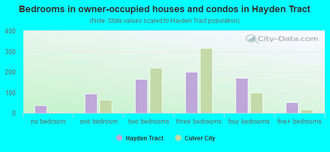 Bedrooms in owner-occupied houses and condos in Hayden Tract