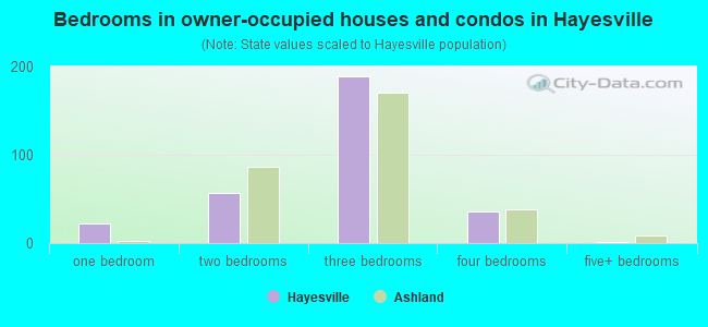 Bedrooms in owner-occupied houses and condos in Hayesville