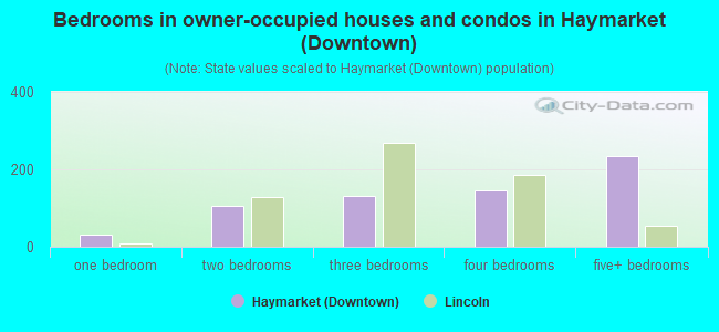 Bedrooms in owner-occupied houses and condos in Haymarket (Downtown)