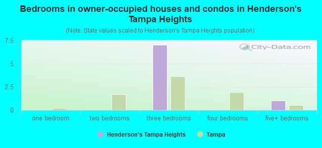 Bedrooms in owner-occupied houses and condos in Henderson's Tampa Heights