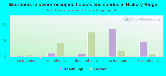 Bedrooms in owner-occupied houses and condos in Hickory Ridge