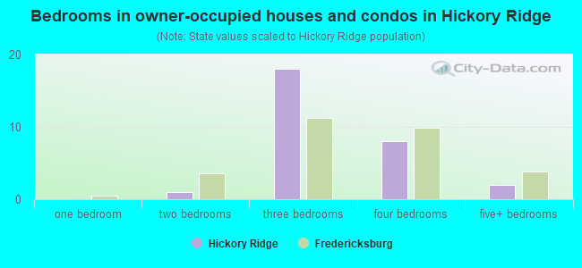Bedrooms in owner-occupied houses and condos in Hickory Ridge