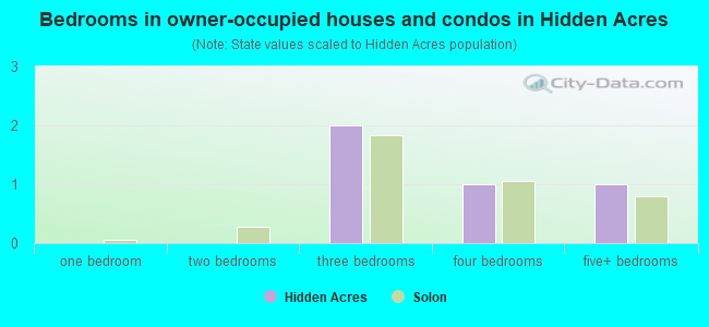 Bedrooms in owner-occupied houses and condos in Hidden Acres