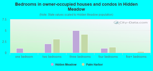 Bedrooms in owner-occupied houses and condos in Hidden Meadow