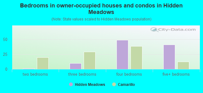 Bedrooms in owner-occupied houses and condos in Hidden Meadows